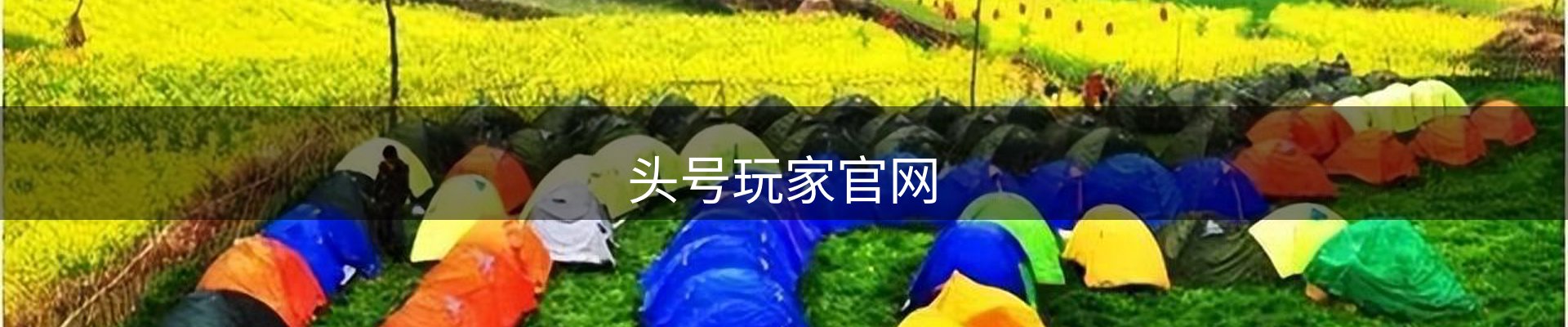 龙八(头号玩家)唯一官方网站